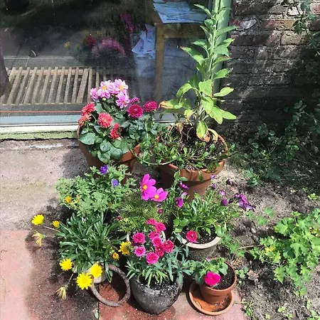 Beijden Bed and Breakfast 3*