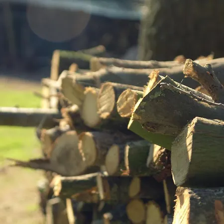 Bed & Breakfast Beijden 3*