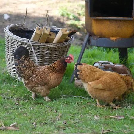 Bed & Breakfast Beijden