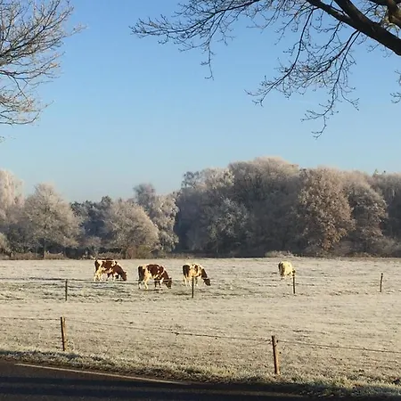 Bed & Breakfast Beijden *