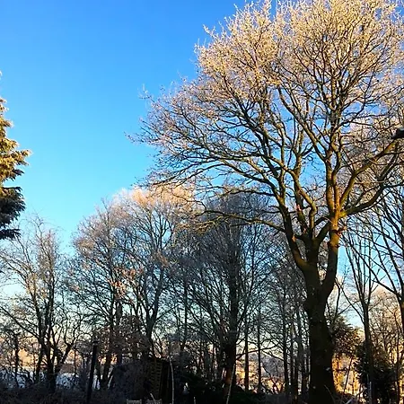 拜登住宿加早餐旅馆
