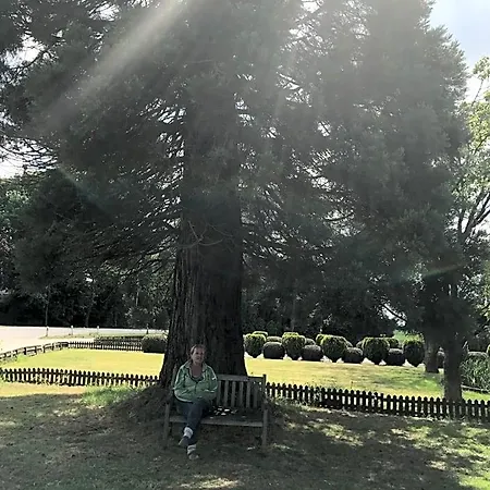 住宿加早餐酒店 拜登住宿加早餐旅馆