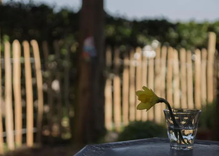 Beijden Bed & Breakfast