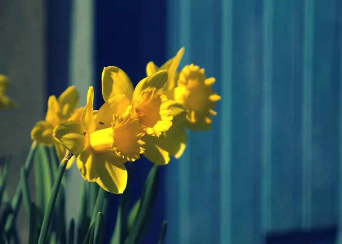 Bed & Breakfast Beijden Overasselt