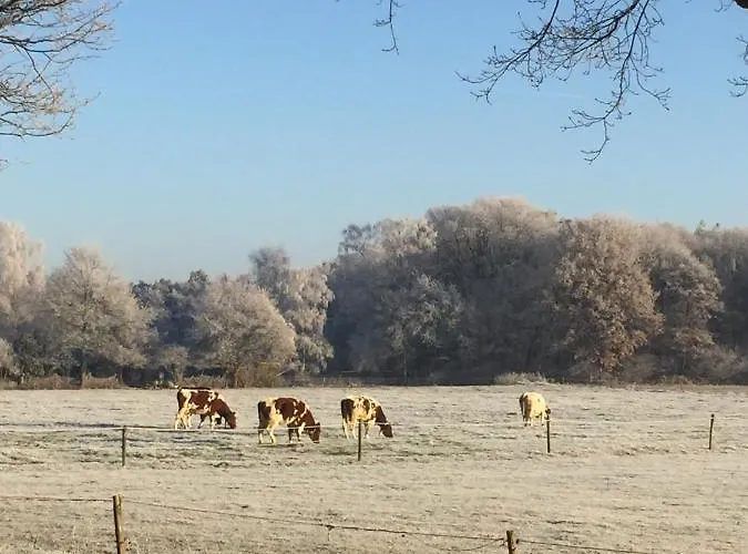 Bed & Breakfast Beijden 3*