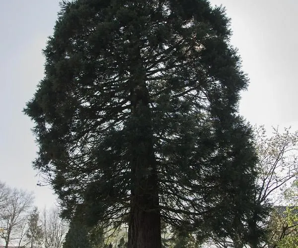 Bed & Breakfast Beijden