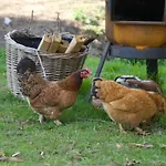 Bed & Breakfast Beijden