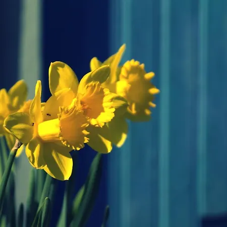 Bed & Breakfast Beijden Overasselt