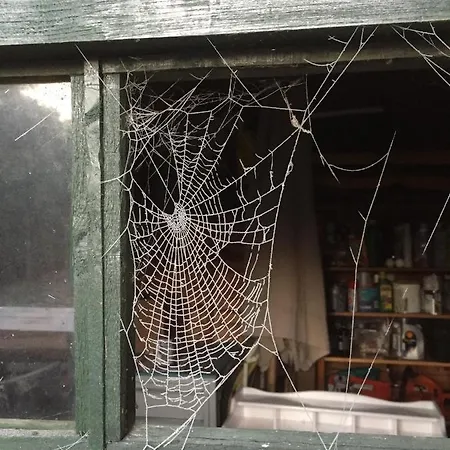 Bed & Breakfast Beijden Overasselt