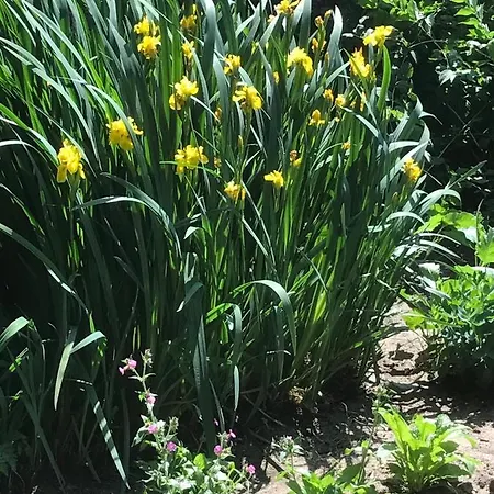 Beijden 3* Overasselt