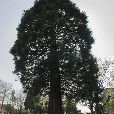 Bed & Breakfast Beijden