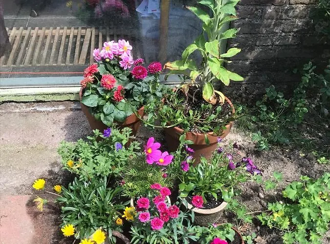 Beijden Bed & Breakfast 3*