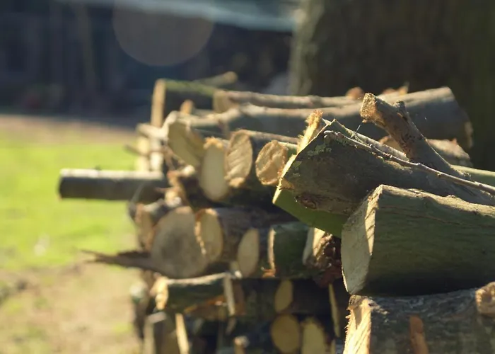 Bed & Breakfast Beijden 3*