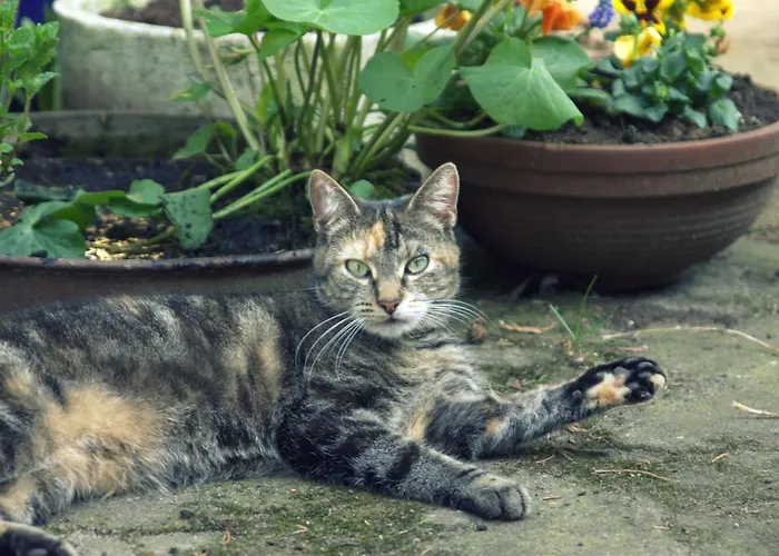 Beijden Bed & Breakfast 3*