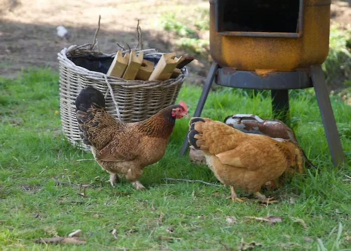 Bed & Breakfast Beijden