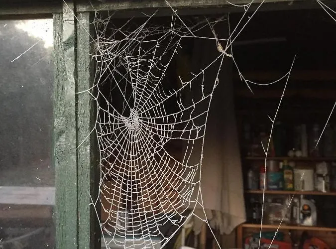 Bed & Breakfast Beijden Overasselt