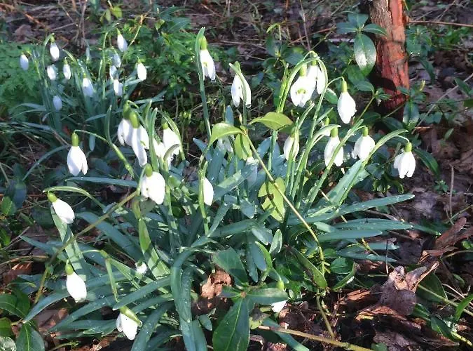 Bed & Breakfast Beijden